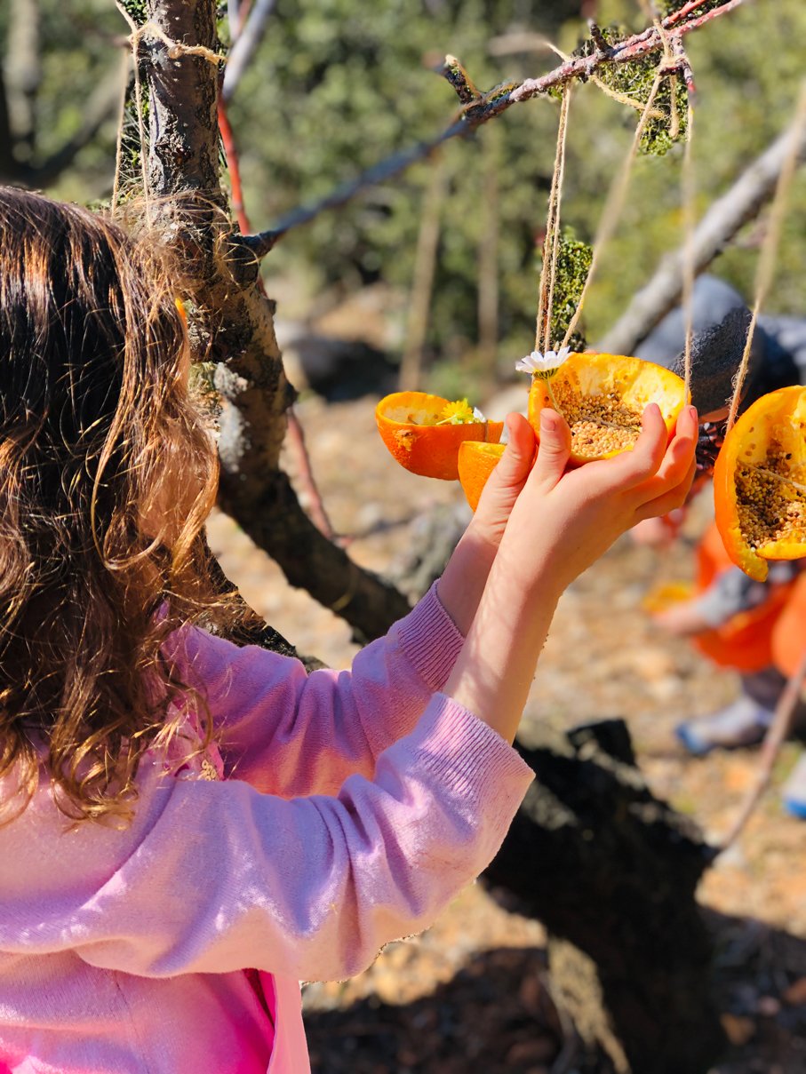 Yedi Renk Anaokulu Galeri