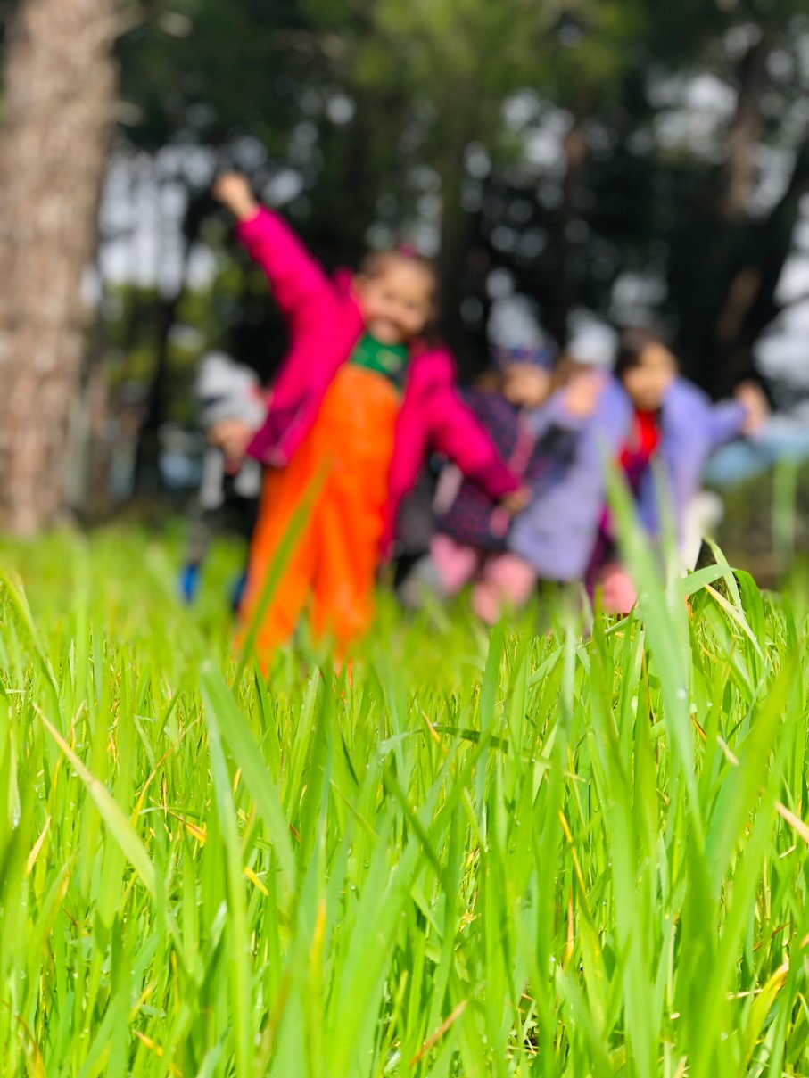 Yedi Renk Anaokulu Galeri